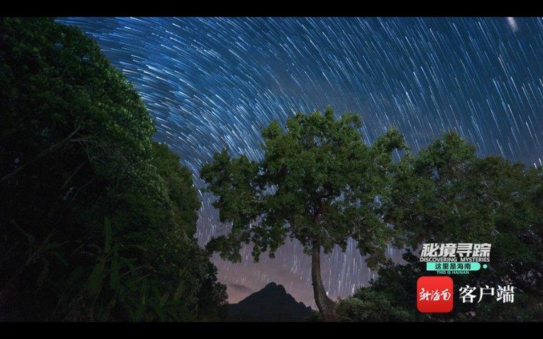 矮人国之战3中文版