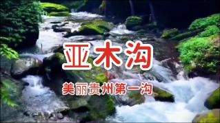 嘉日单词