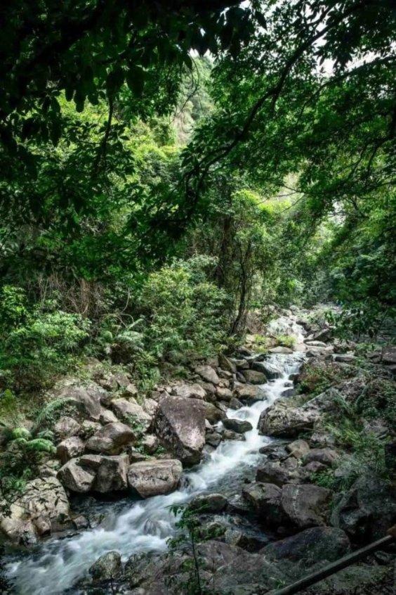 水果时尚风格