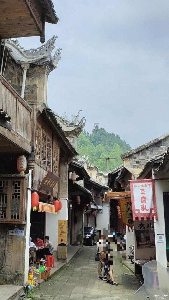 动物帮帮忙保卫家园