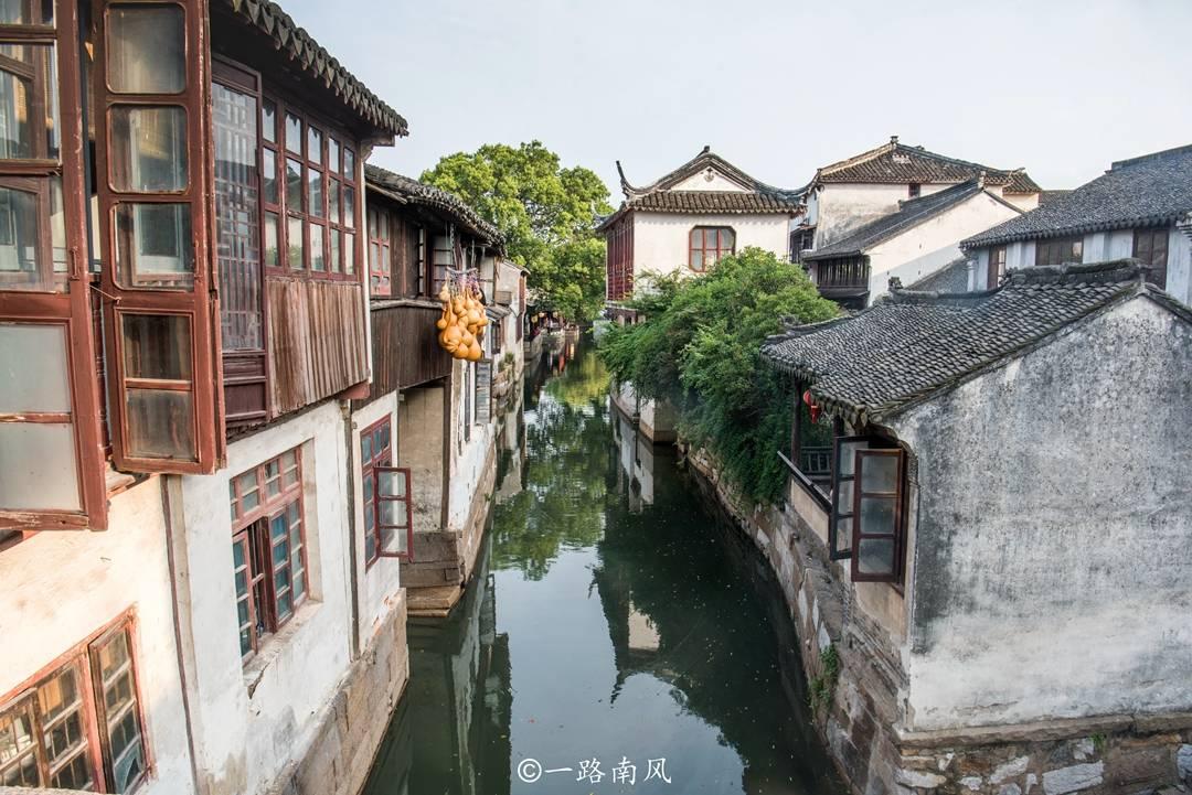 植物大战僵尸21