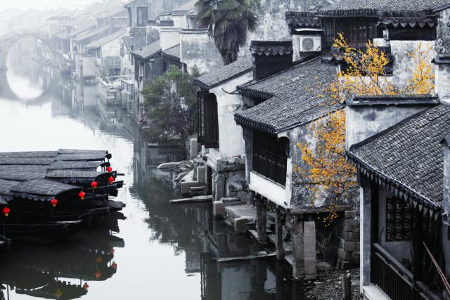 救援白虎