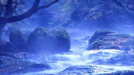 点滴见初心,以实干担当助力乡村振兴